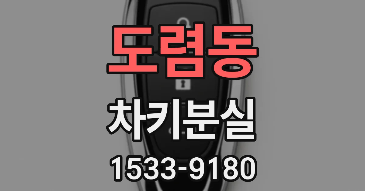 도렴동 차키분실
