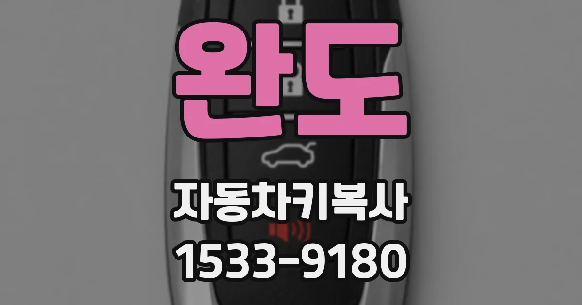 완도 자동차키복사