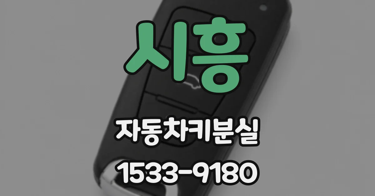 시흥 자동차키분실