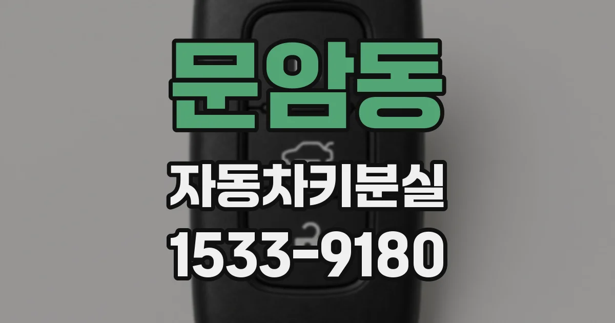 문암동 자동차키분실