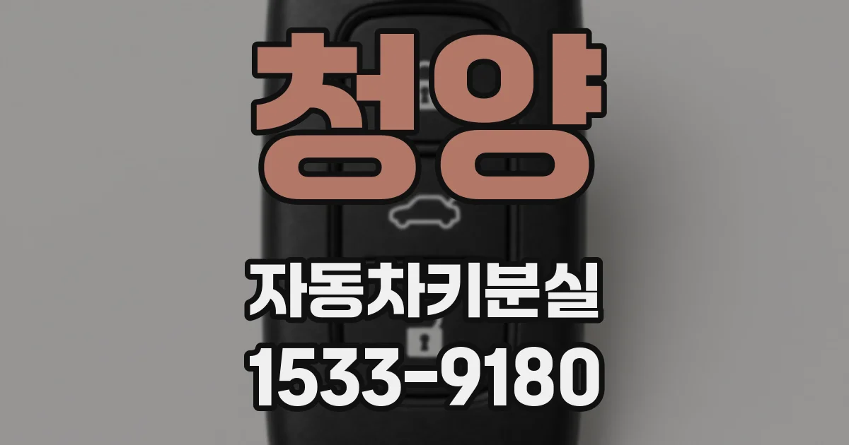 청양 자동차키분실