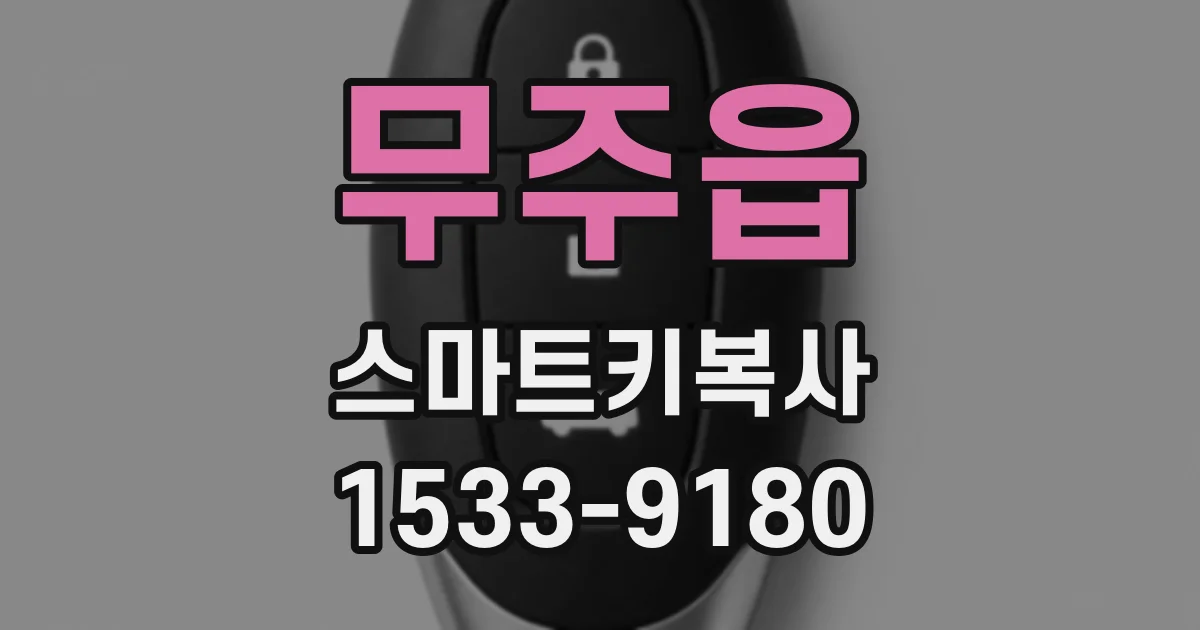 무주읍 스마트키복사