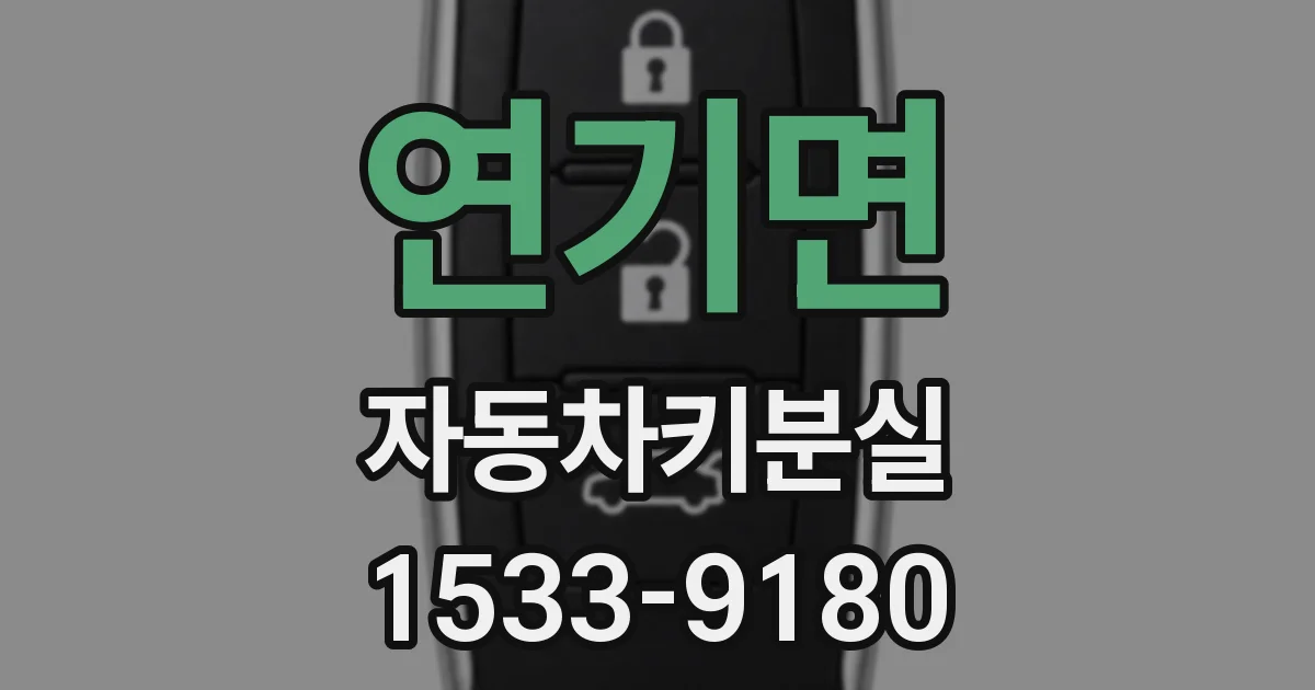 연기면 자동차키분실