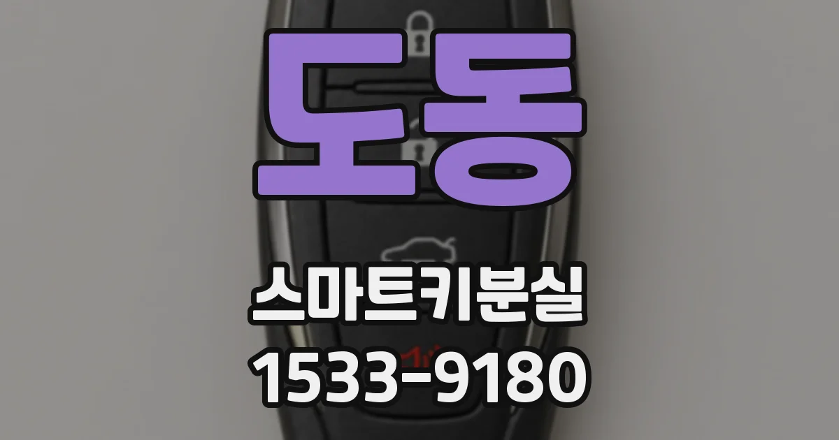 도동 스마트키분실
