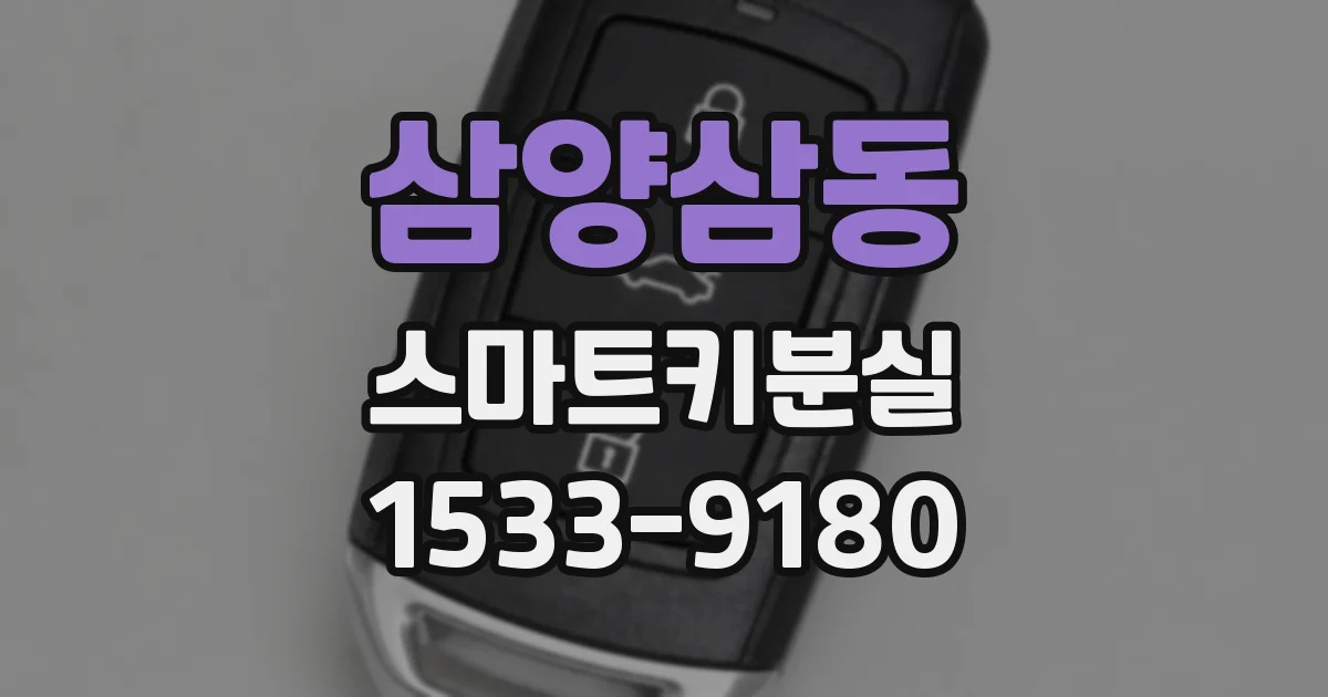 삼양삼동 스마트키분실