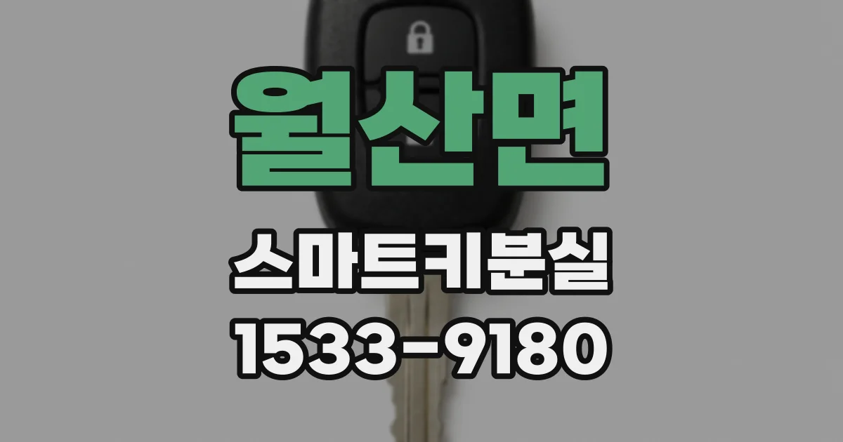 월산면 스마트키분실