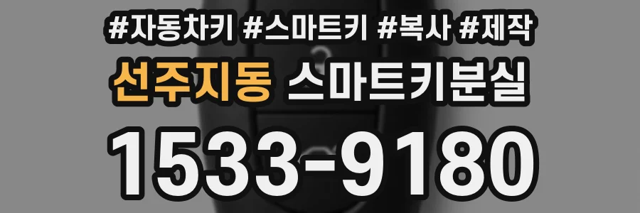 선주지동 스마트키분실