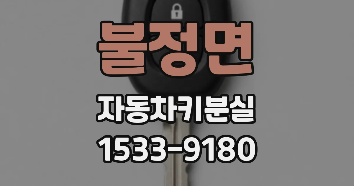 불정면 자동차키분실