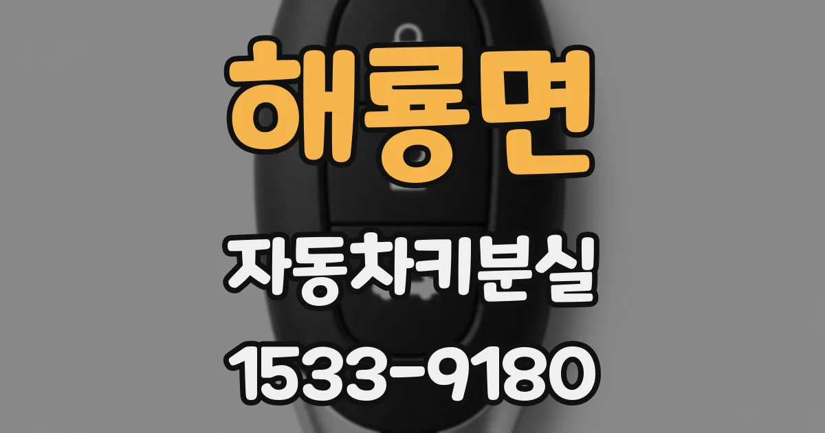 해룡면 자동차키분실