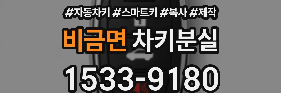 비금면 차키분실