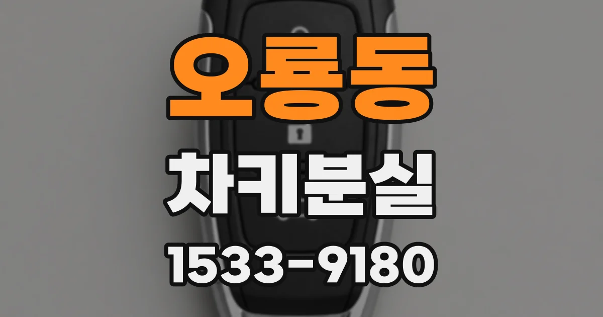 오룡동 차키분실