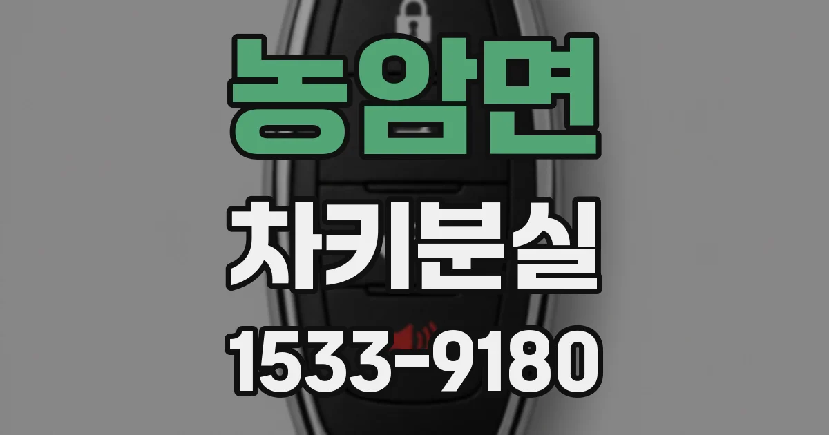 농암면 차키분실