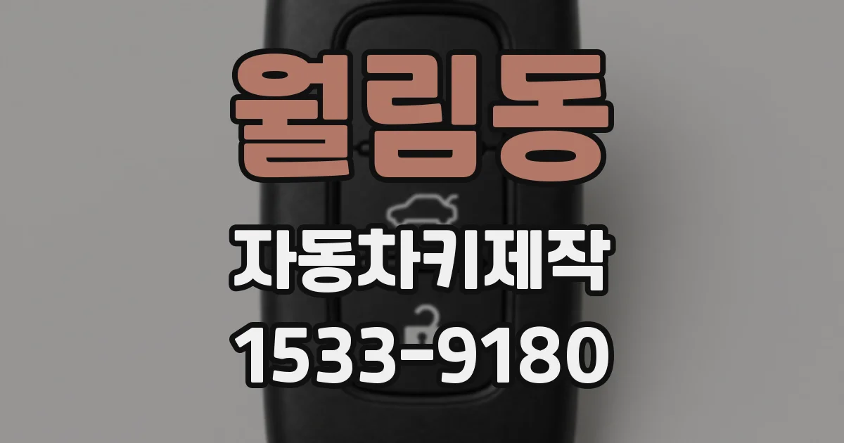 월림동 자동차키제작