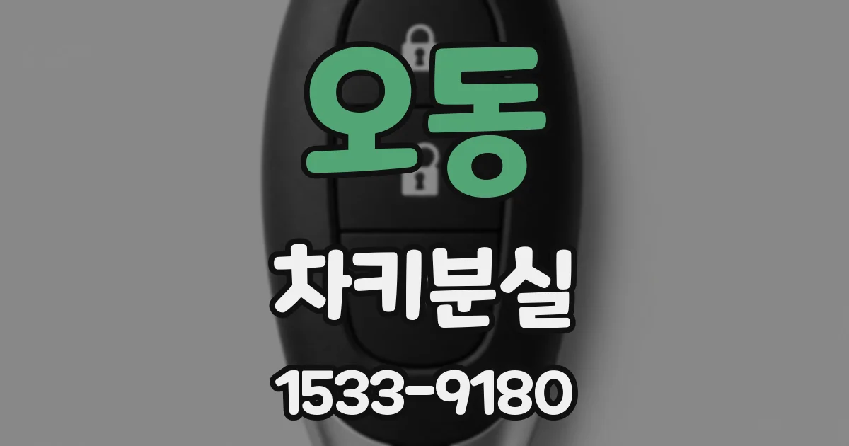 오동 차키분실