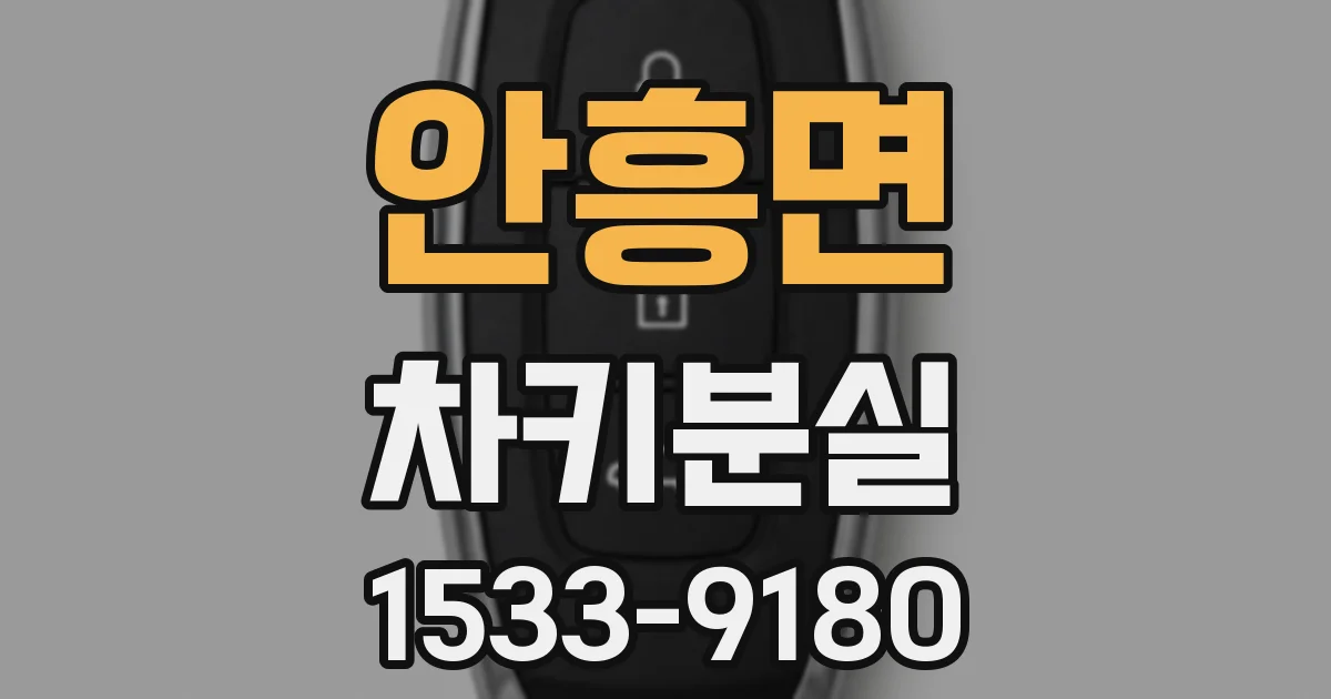 안흥면 차키분실
