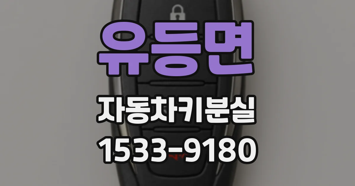 유등면 자동차키분실