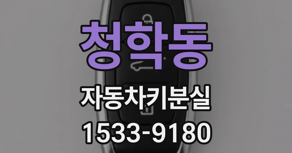 청학동 자동차키분실