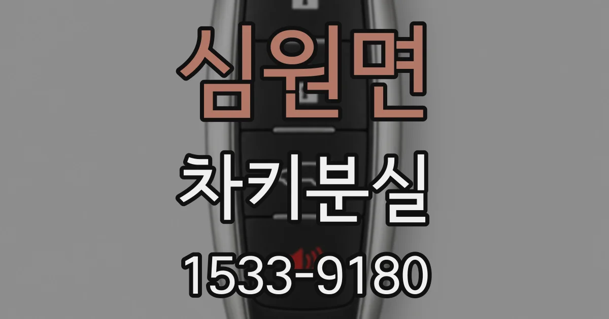 심원면 차키분실