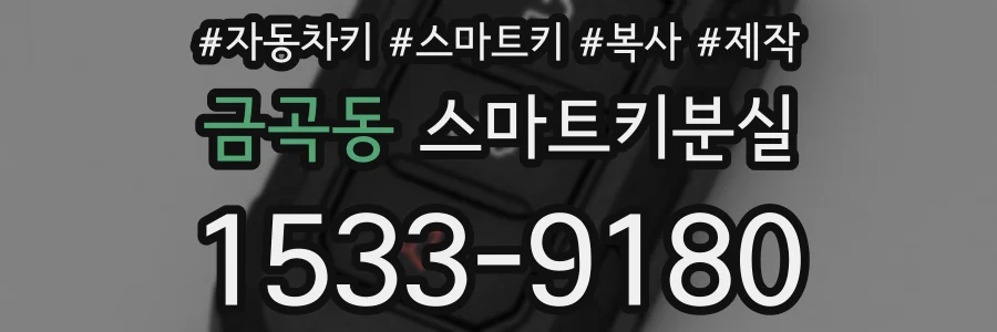 금곡동 스마트키분실