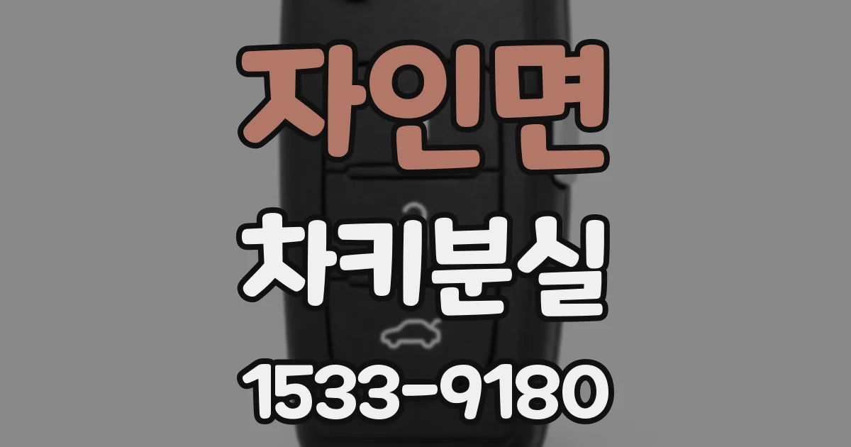 자인면 차키분실