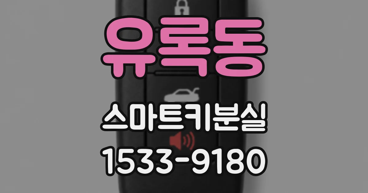 유록동 스마트키분실