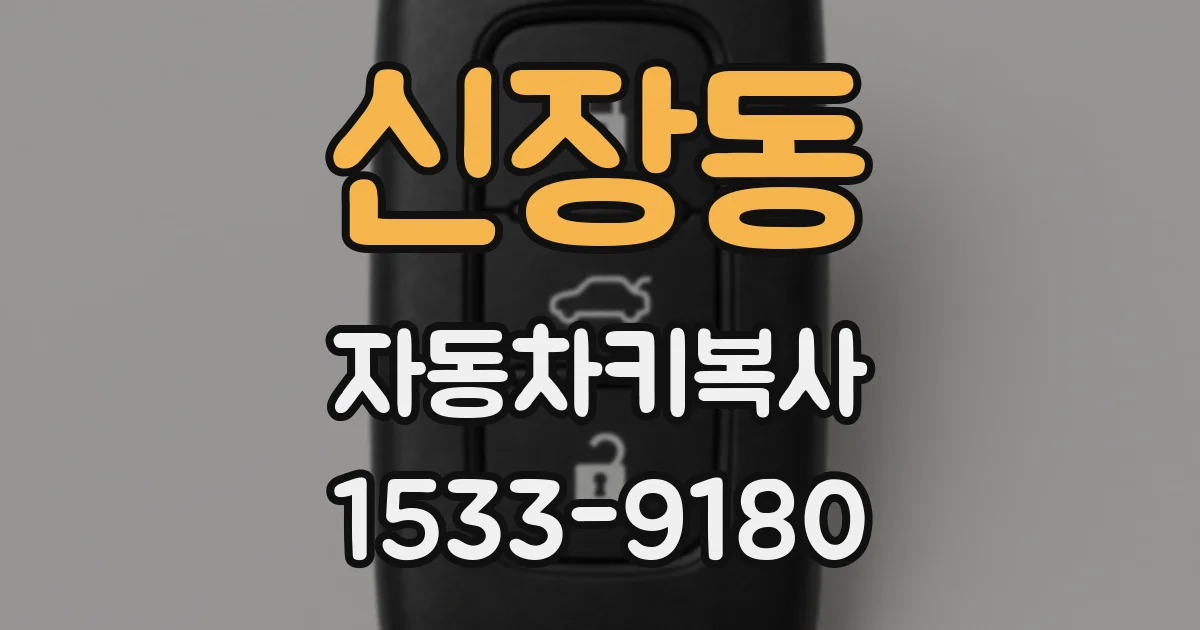 신장동 자동차키복사