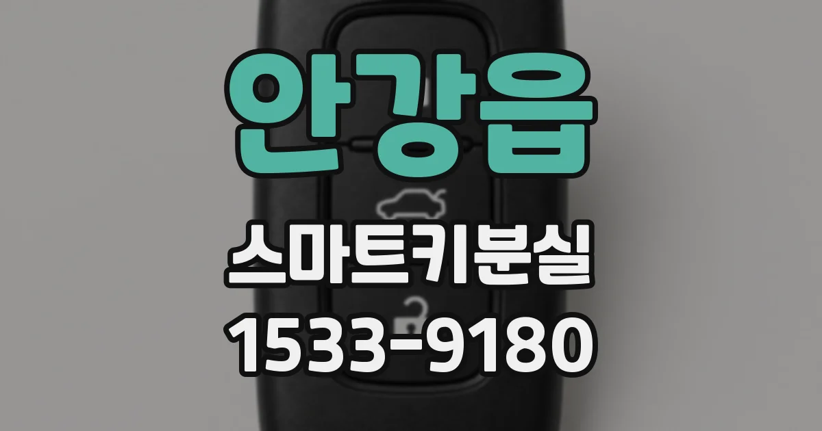 안강읍 스마트키분실