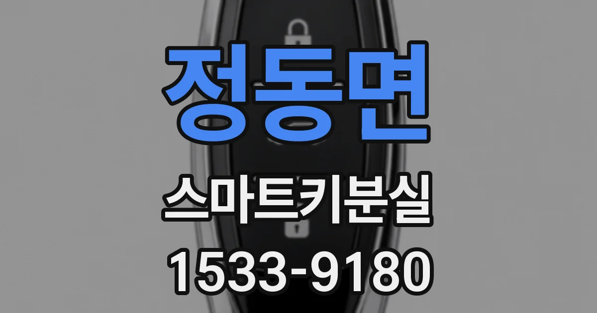 정동면 스마트키분실