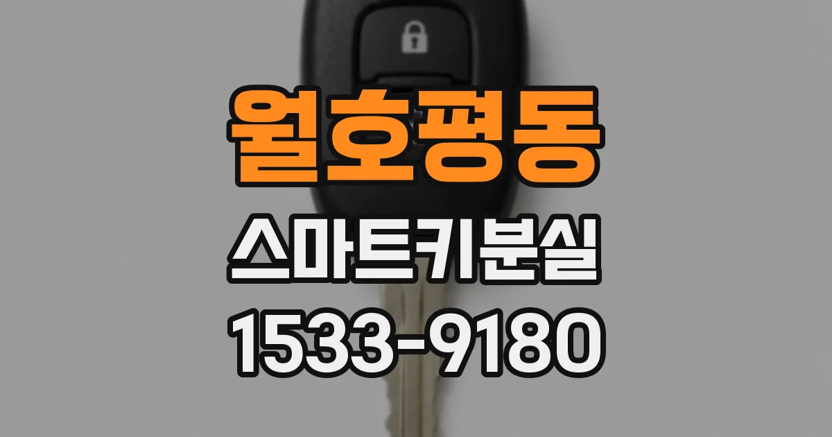 월호평동 스마트키분실