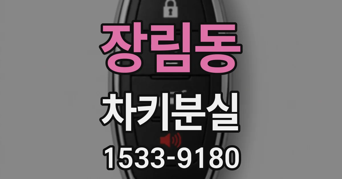 장림동 차키분실