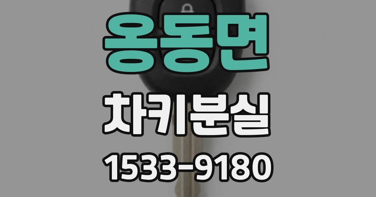 옹동면 차키분실