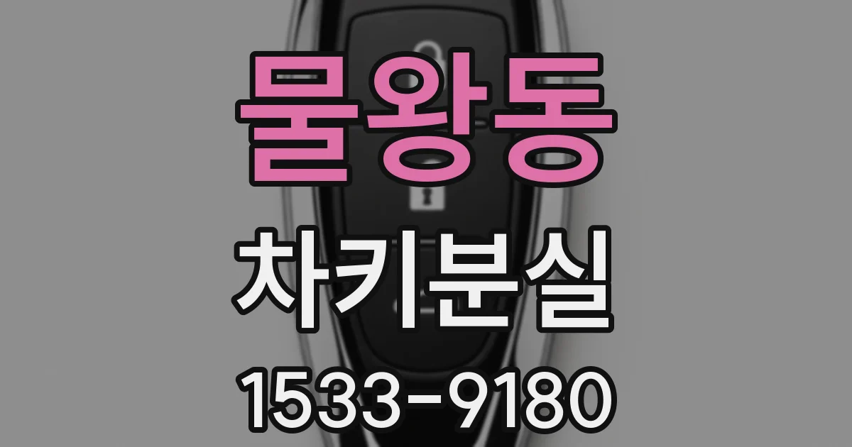 물왕동 차키분실