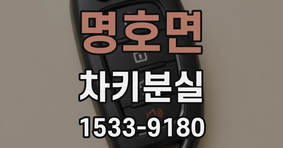 명호면 차키분실