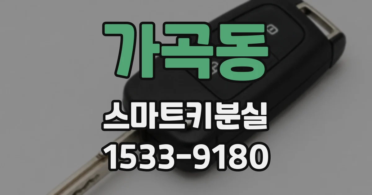 가곡동 스마트키분실