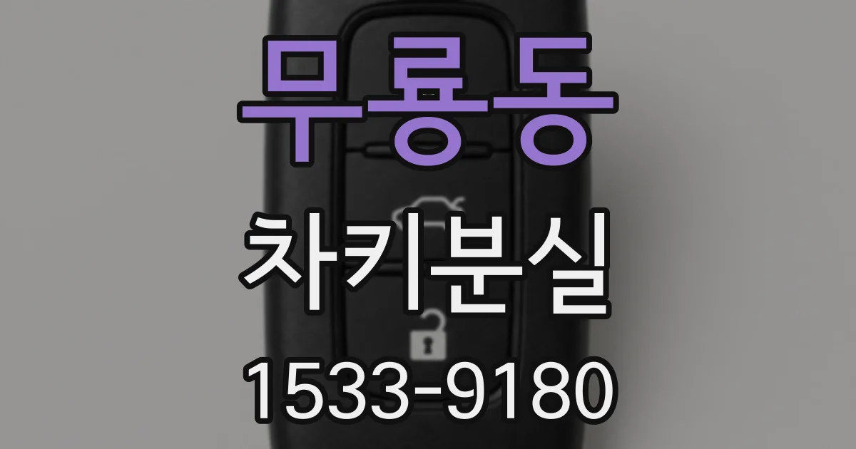 무룡동 차키분실