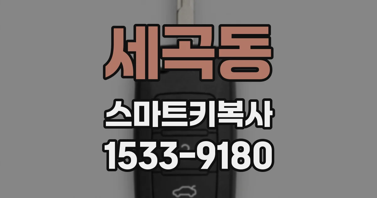 세곡동 스마트키복사