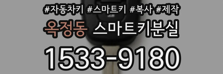 옥정동 스마트키분실