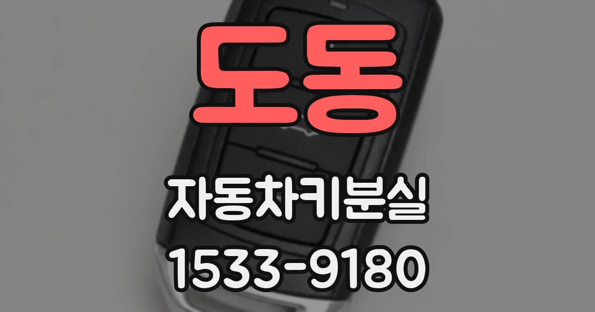 도동 자동차키분실