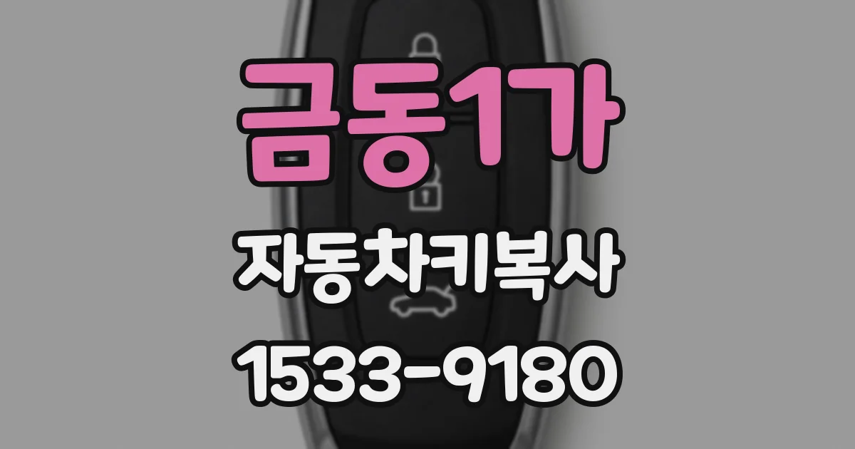 금동1가 자동차키복사