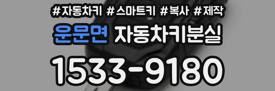 운문면 자동차키분실
