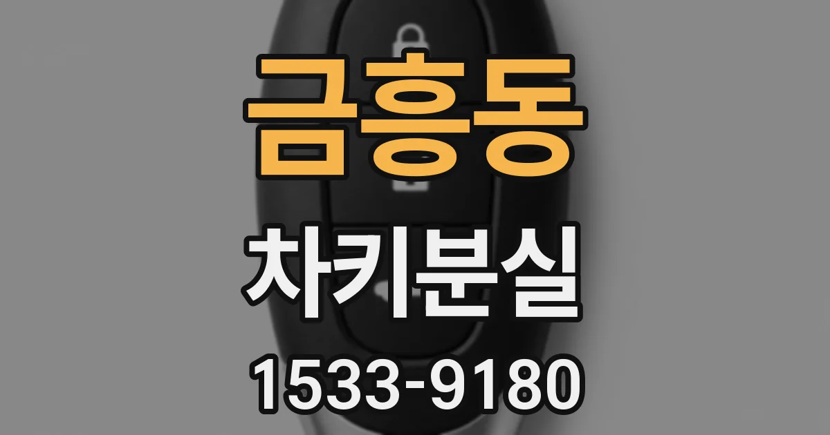 금흥동 차키분실
