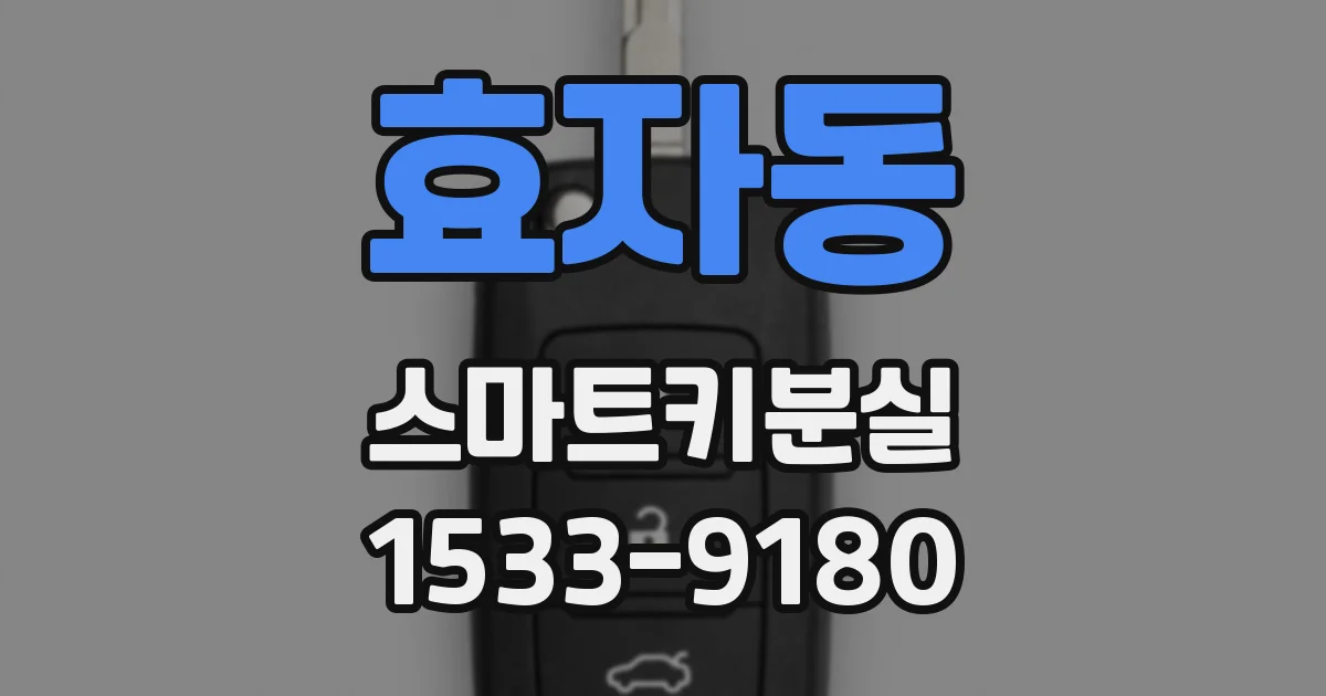 효자동 스마트키분실