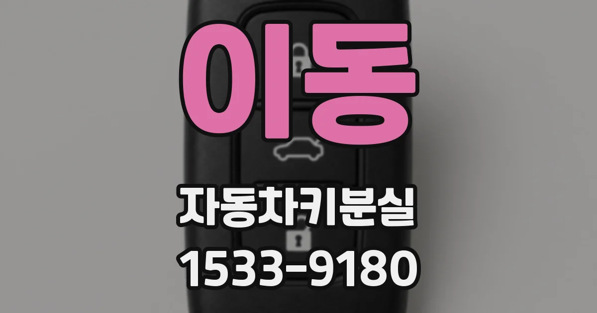 이동 자동차키분실