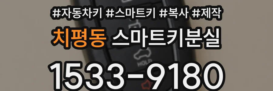 치평동 스마트키분실