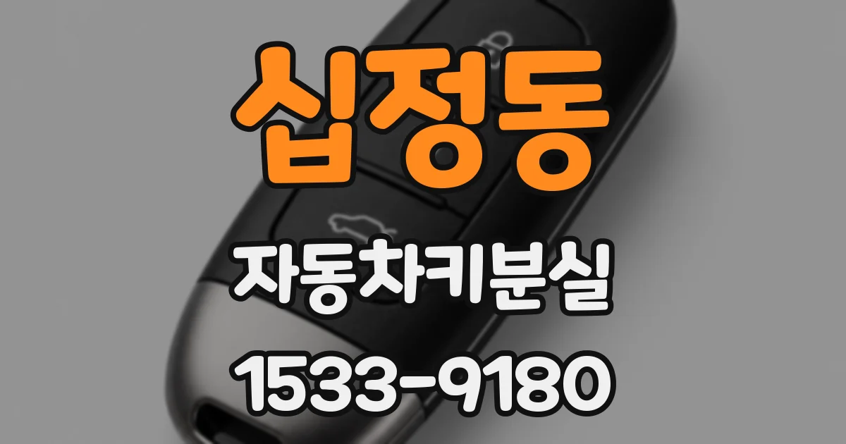 십정동 자동차키분실
