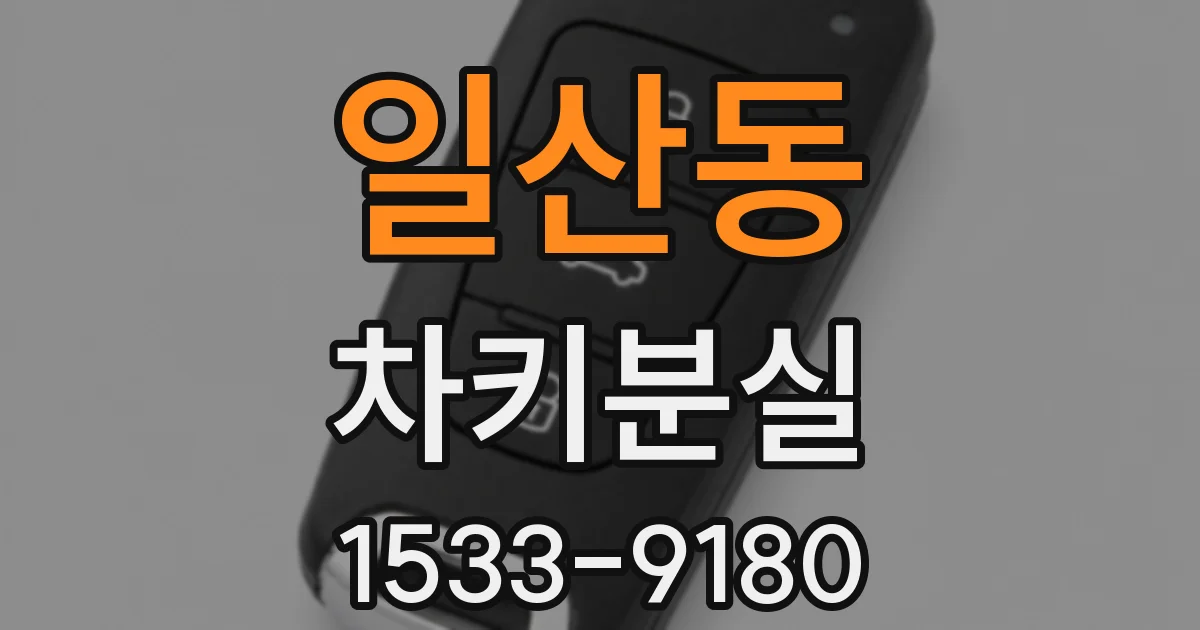 일산동 차키분실