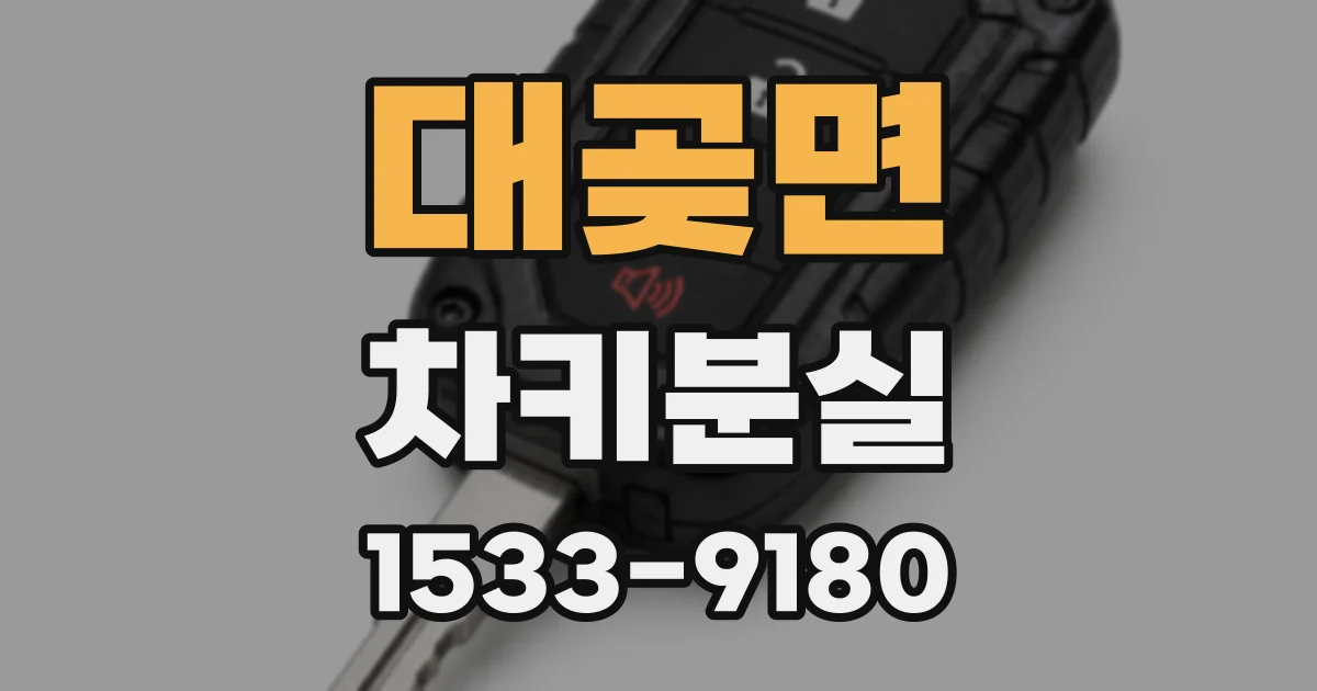 대곶면 차키분실