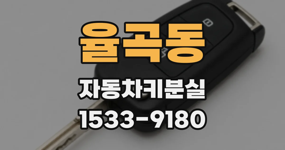 율곡동 자동차키분실