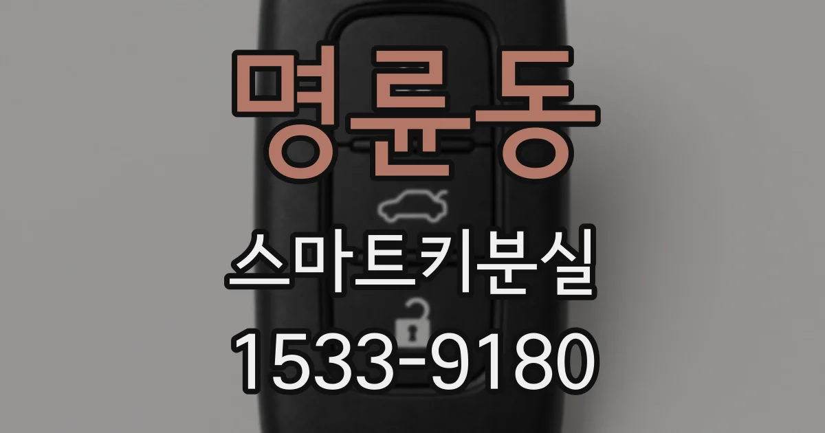 명륜동 스마트키분실