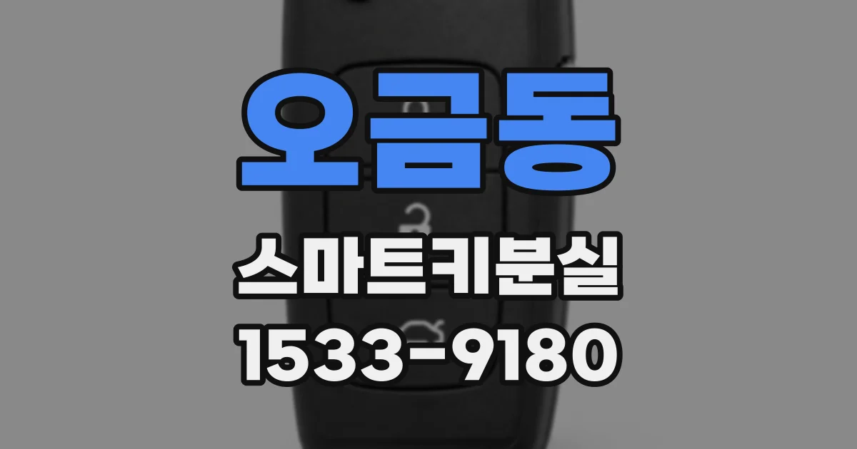 오금동 스마트키분실
